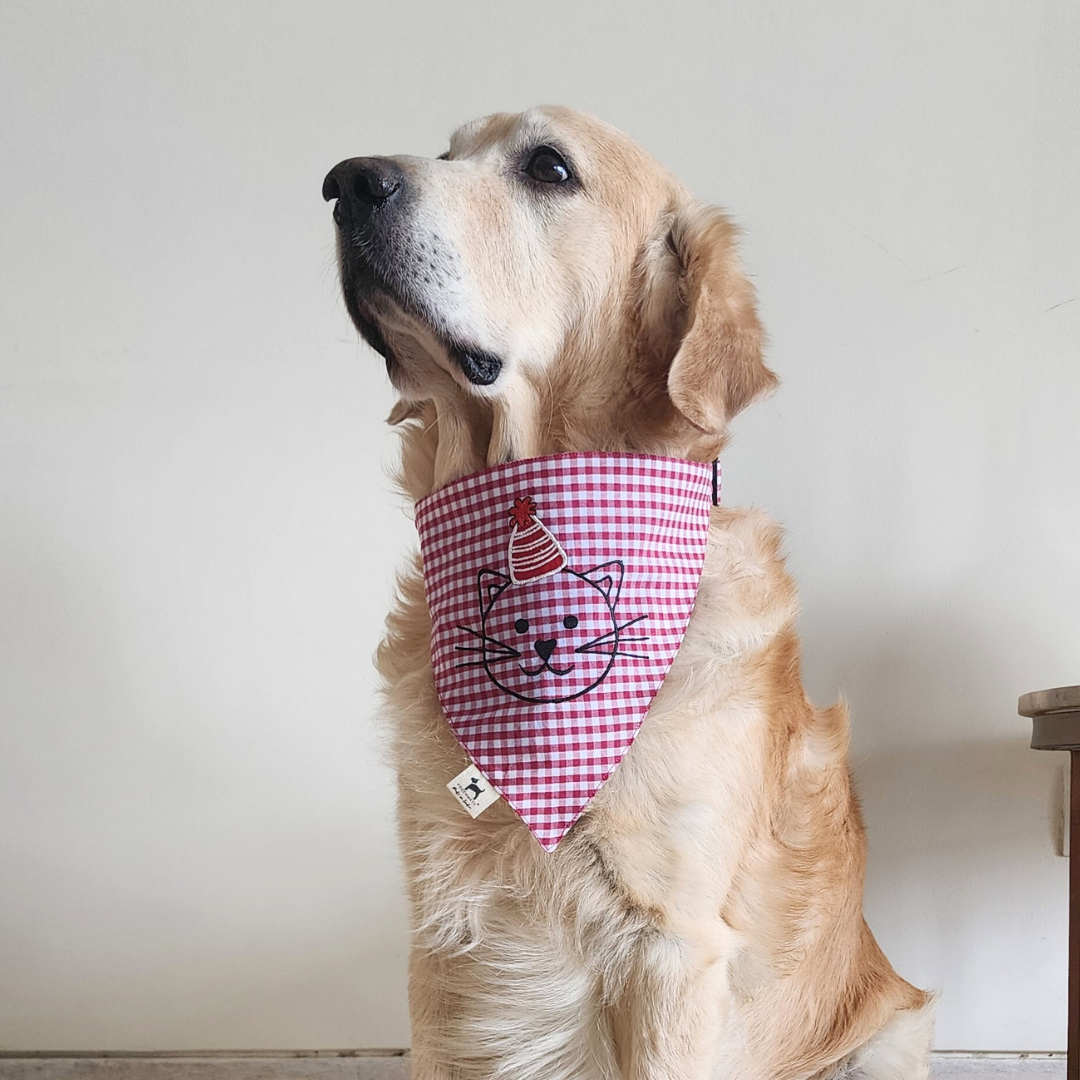 Birthday Dog Bandana | Dog Birthday accessories