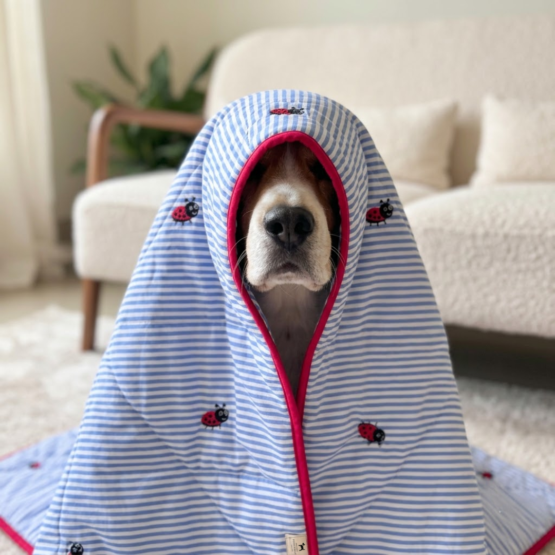 Cotton dog Blanket | Linen dog blanket | Luxury dog blankets online India| Soft blankets for small dogs India