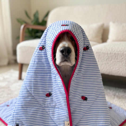 Cotton dog Blanket | Linen dog blanket | Luxury dog blankets online India| Soft blankets for small dogs India
