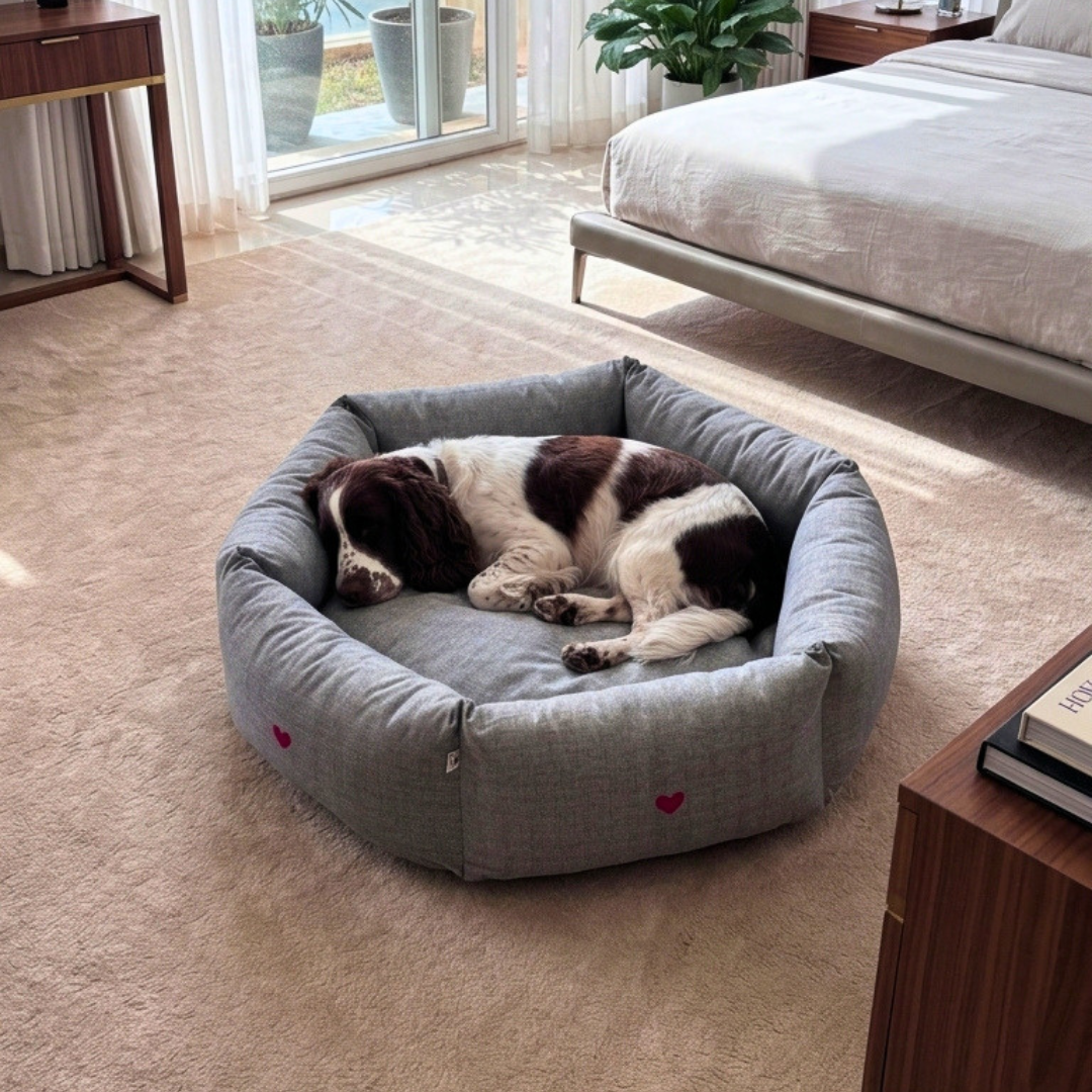 PoochMate Dog Beds | Best dog beds online India | Dog beds with removable covers | Washable dog beds online India