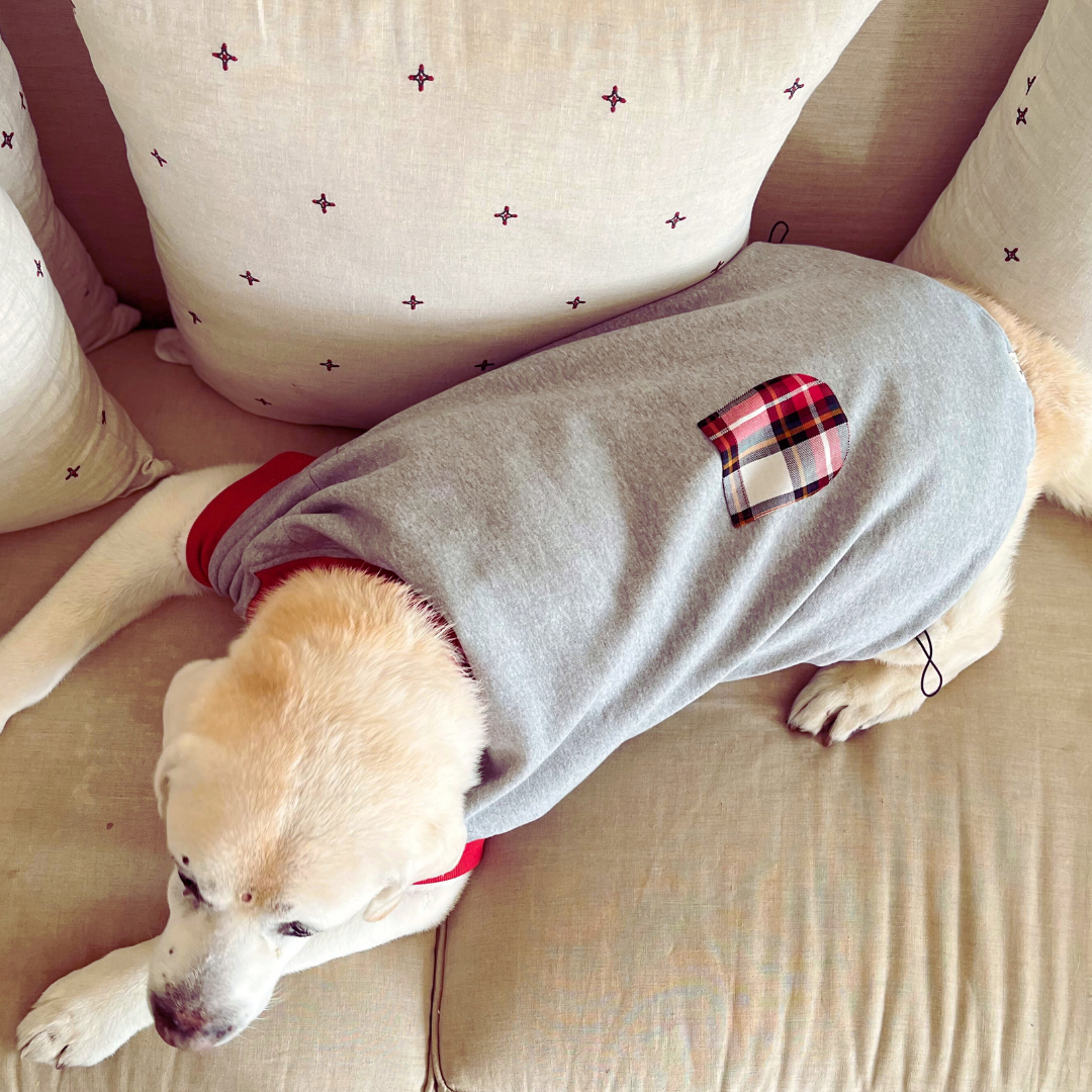 Grey Dog Sweatshirt | Dog Hoodies India