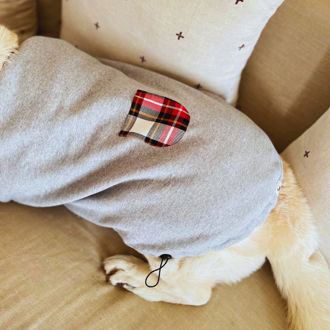 dog winter clothes | sweatshirts for pets