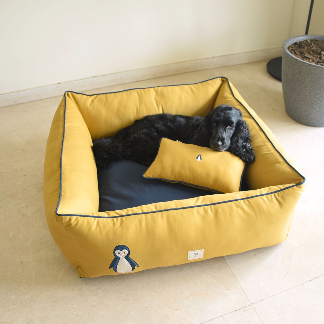 Cotton Dog Beds | Dog bed with removable cover