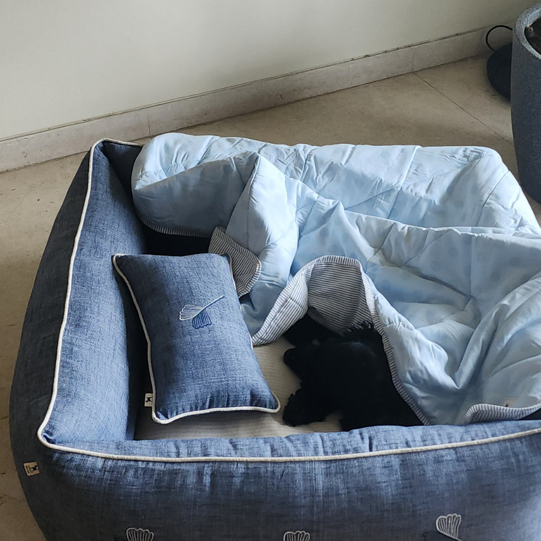 Pet bed and blanket | Dog Bed with blanket India