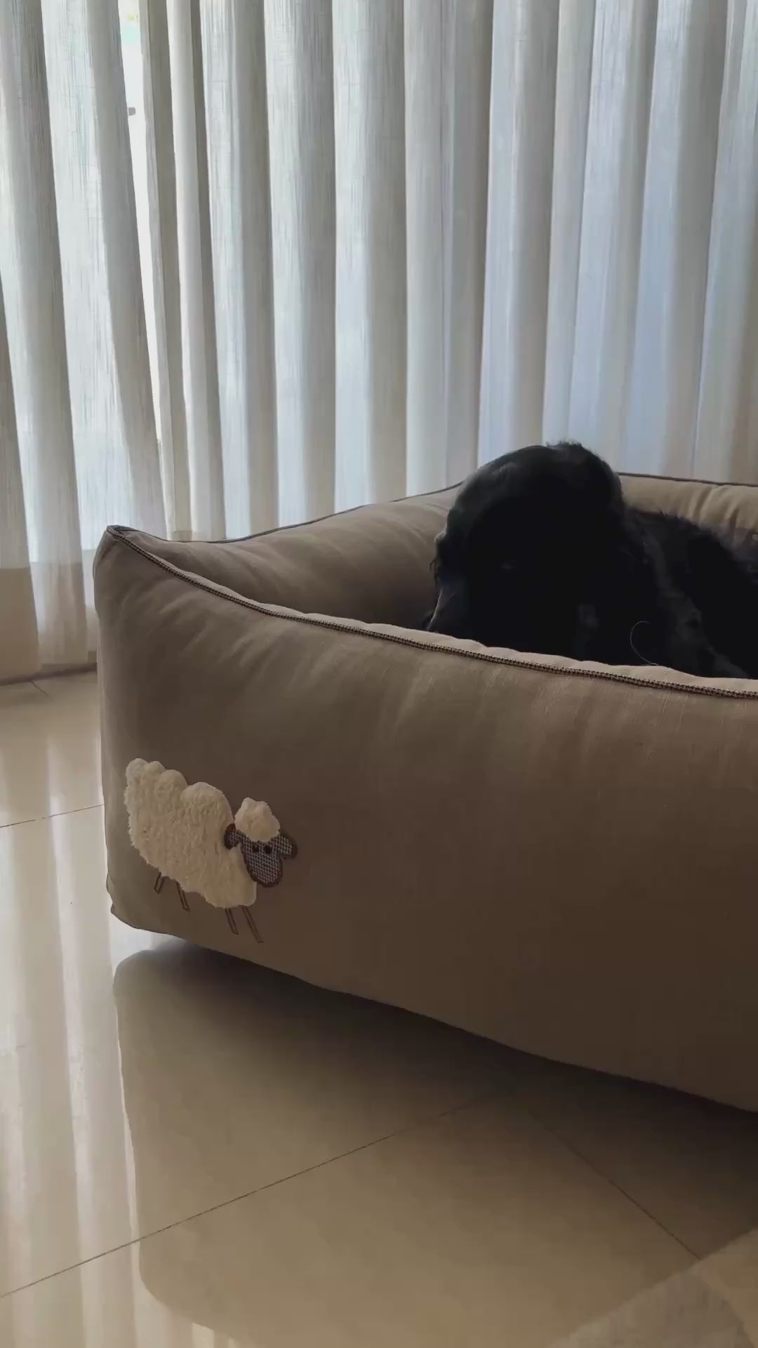 Dog Beds with Washable Covers | PoochMate Beds
