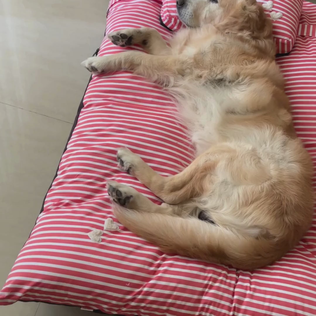 Dog Bed with removable cover | Washable dog bed online India