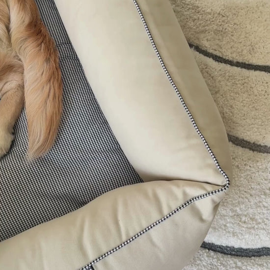 Large dog beds online India | Dog beds with removable covers