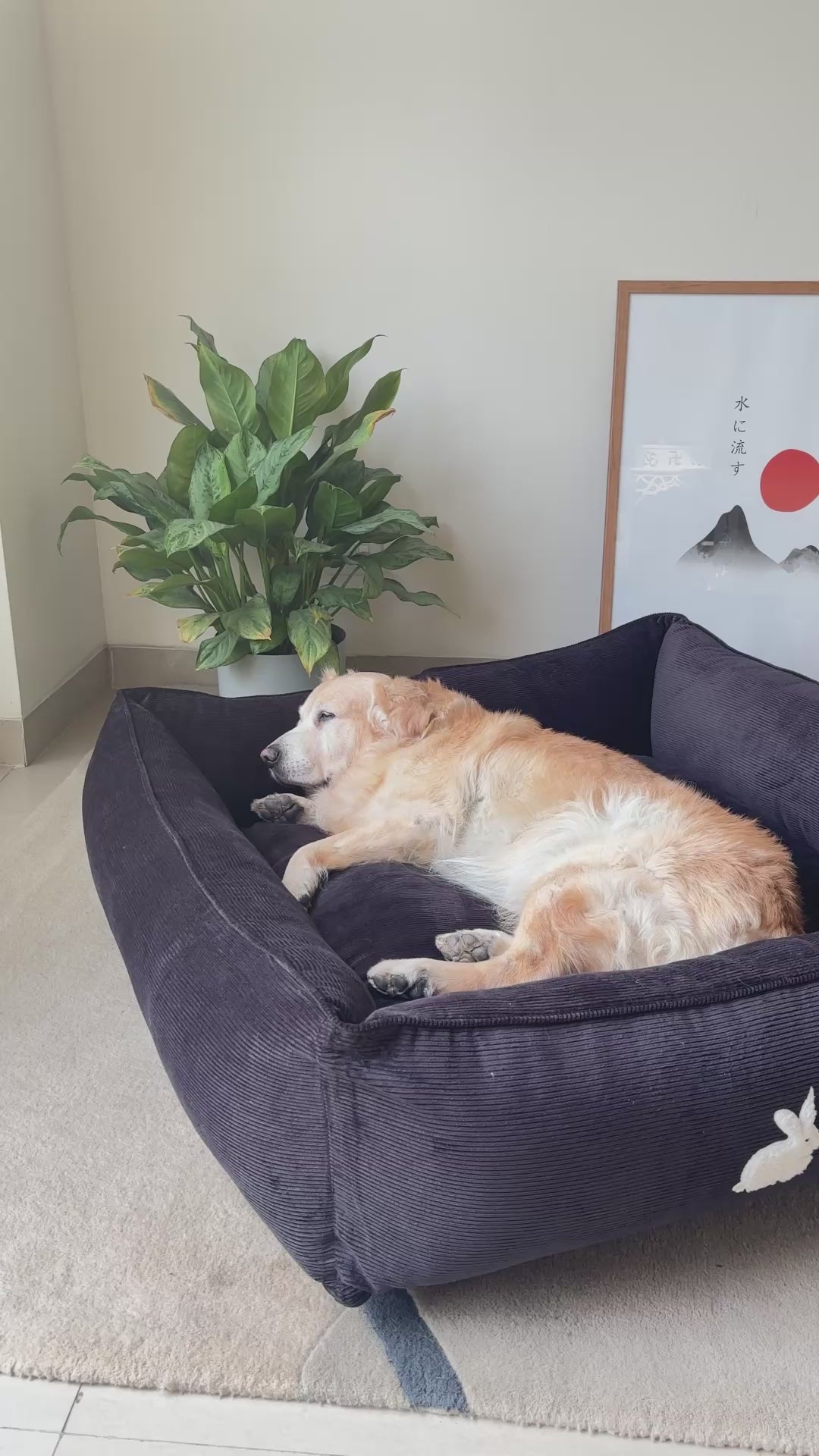 PoochMate Dog Bed | PoochMate Beds | Corduroy dog beds | Large dog beds online India