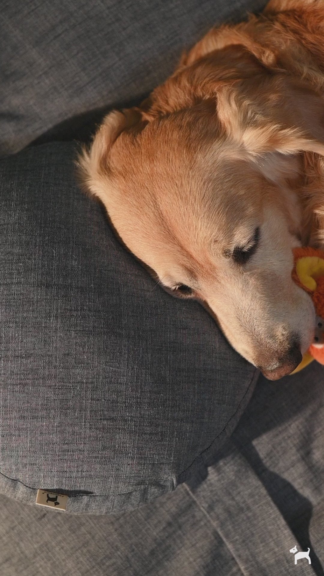 Load video: Linen Dog bed with washable covers