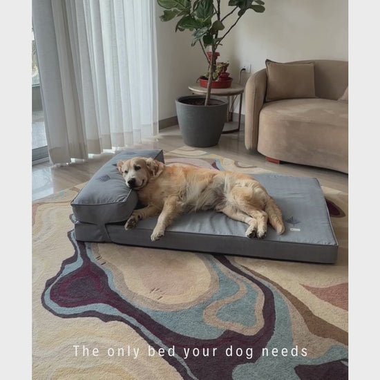 Orthopedic dog beds| Memory foam dog beds| Memory foam dog sofa bed | Memory foam dog bed with raised sides | PoochMate memory Foam Dog bed