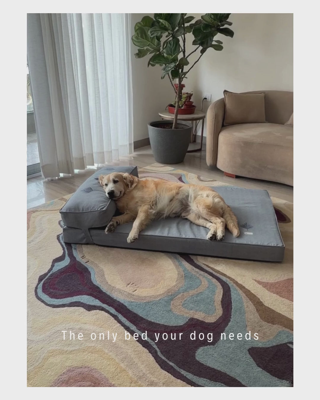 Orthopedic dog beds| Memory foam dog beds| Memory foam dog sofa bed | Memory foam dog bed with raised sides | PoochMate memory Foam Dog bed