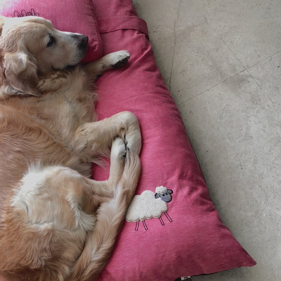 Flat Cotton Dog Beds India