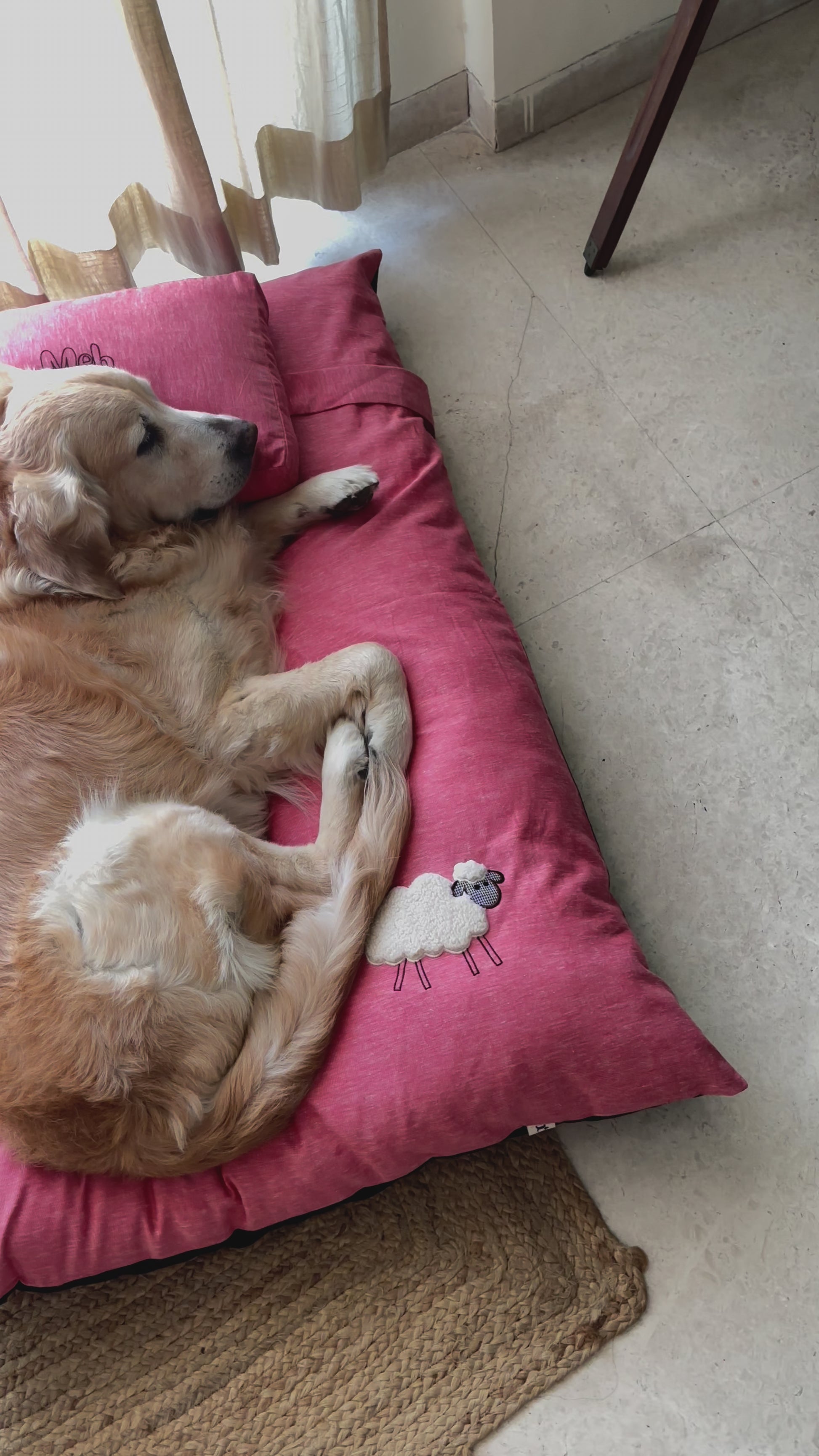 Flat Cotton Dog Beds India