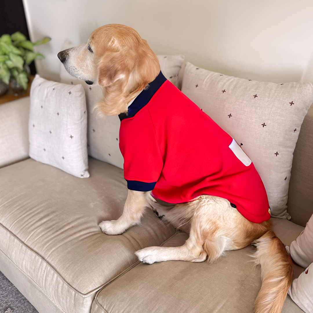 Red Dog Sweatshirt | Christmas Dress for dogs