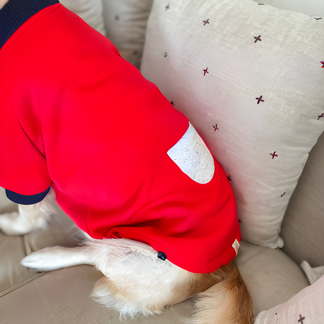 Dog Sweatshirt| Large dog winter clothes