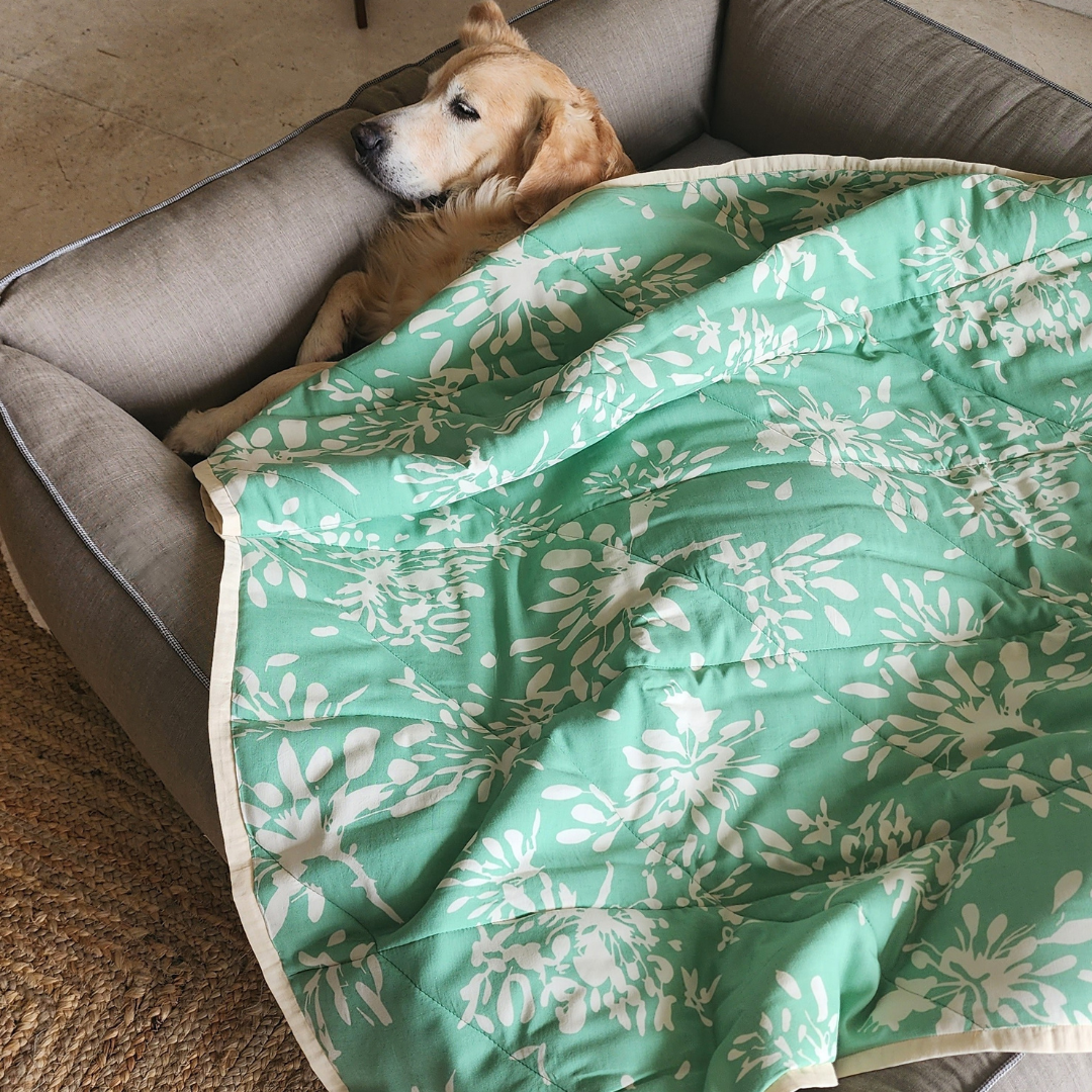 Dog Bedding sets online India | Dog Bed & Blanket Set
