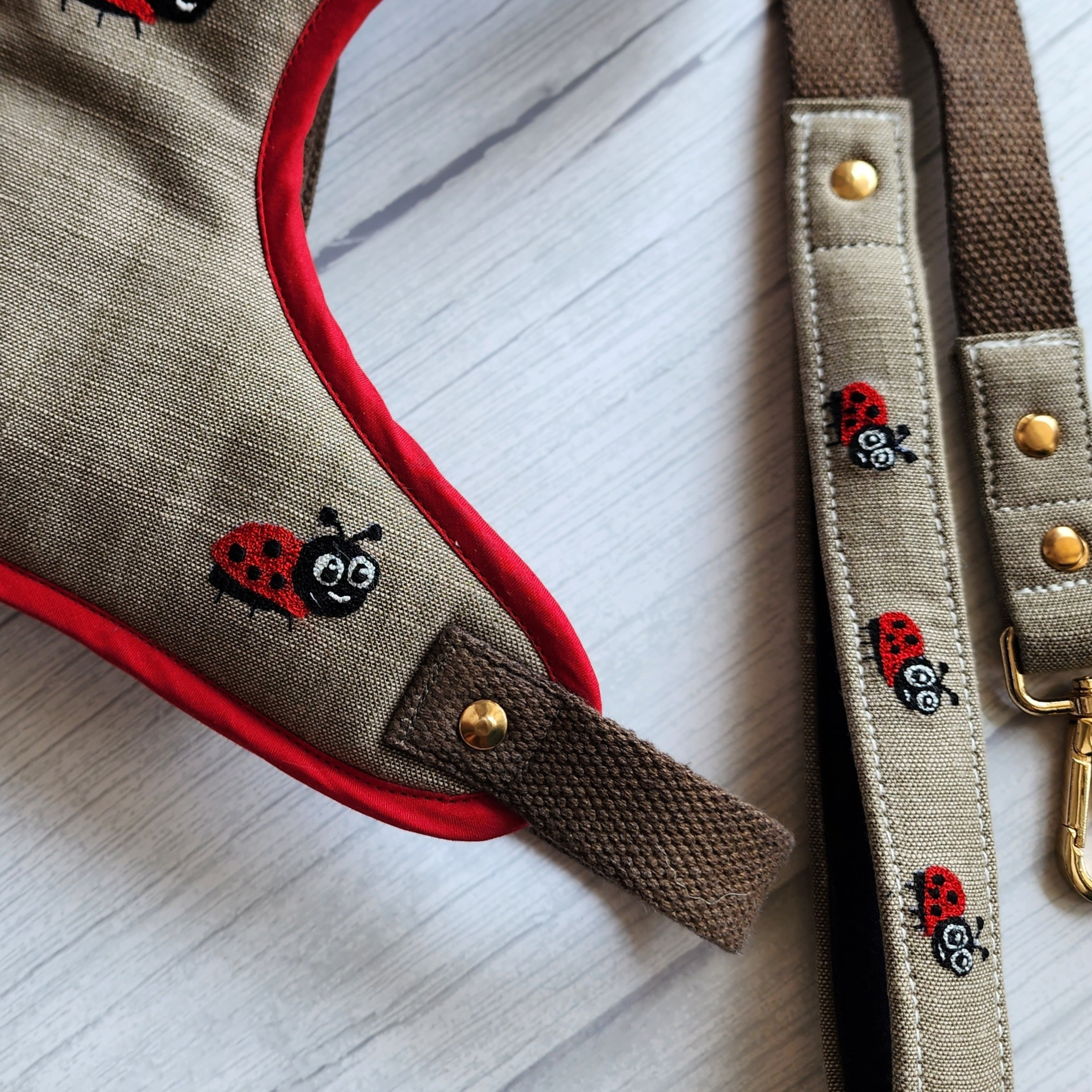 Luxury Dog Harness sets online India | Dog Harness India