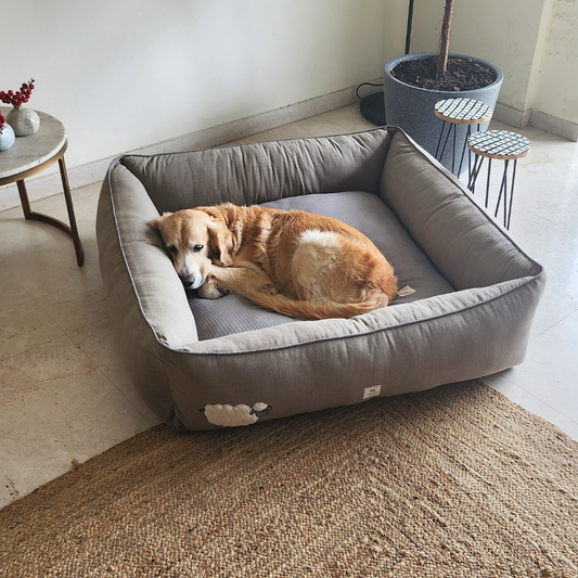 Large dog beds | Washable large dog beds India