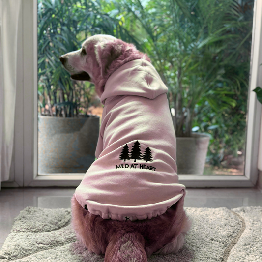 Winter dog clothes | Sweatshirts for dogs | Dog Hoodies online India