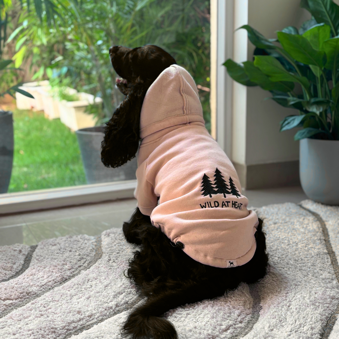 Winter dog jackets| Sweatshirts for dogs | Dog Hoodies online India