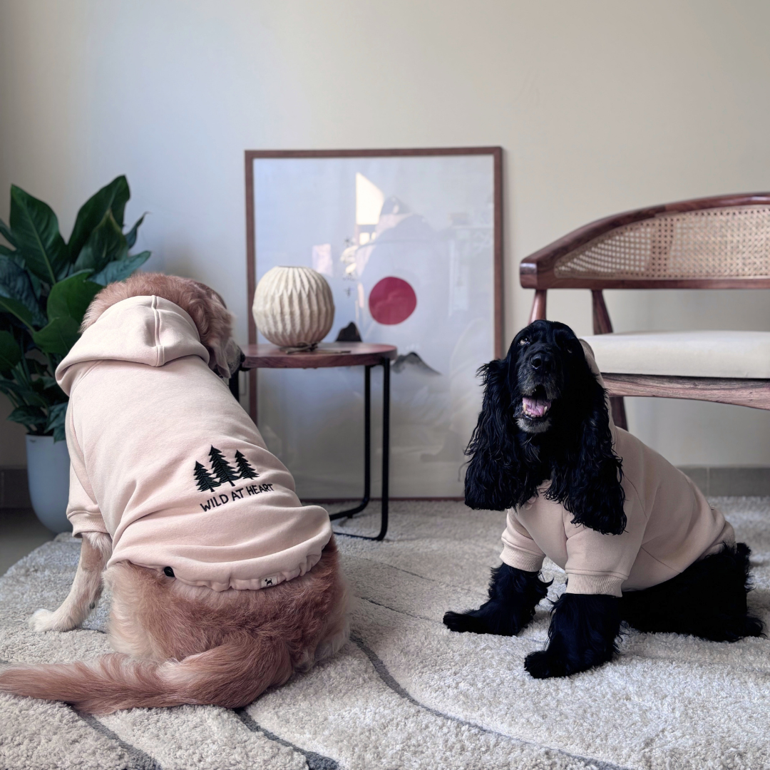 Dog Hoodie for Labrador | Large dog winter clothes | Best dog sweatshirts India