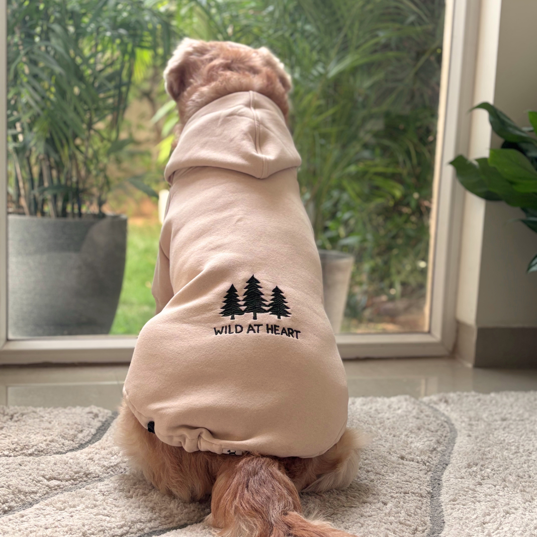 Dog Sweater for winter | Labrador Hoodie | Dog Winter Clothes online India