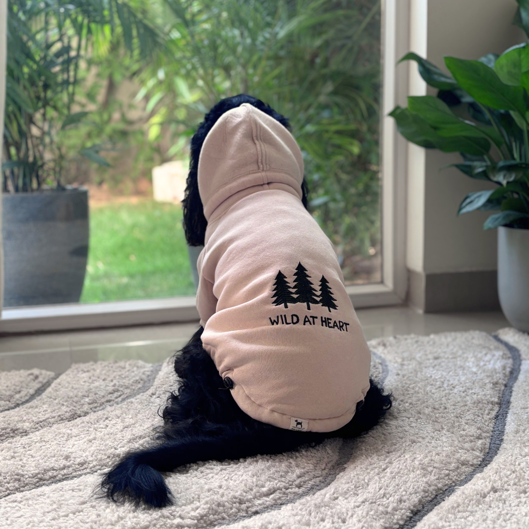 Sweatshirts for dogs | Hoodies for dogs | Winter clothes for dogs online India