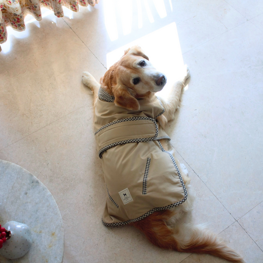 Dog jacket with full chest coverage | Cotton quilted dog jacket