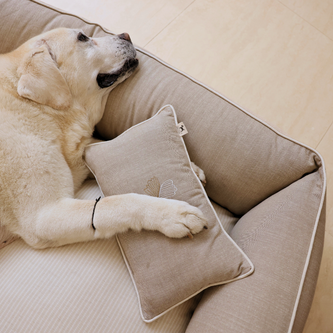 Linen Dog Bed | Large dog bed with removable cover| Dog bed with washable covers | PoochMate Beds