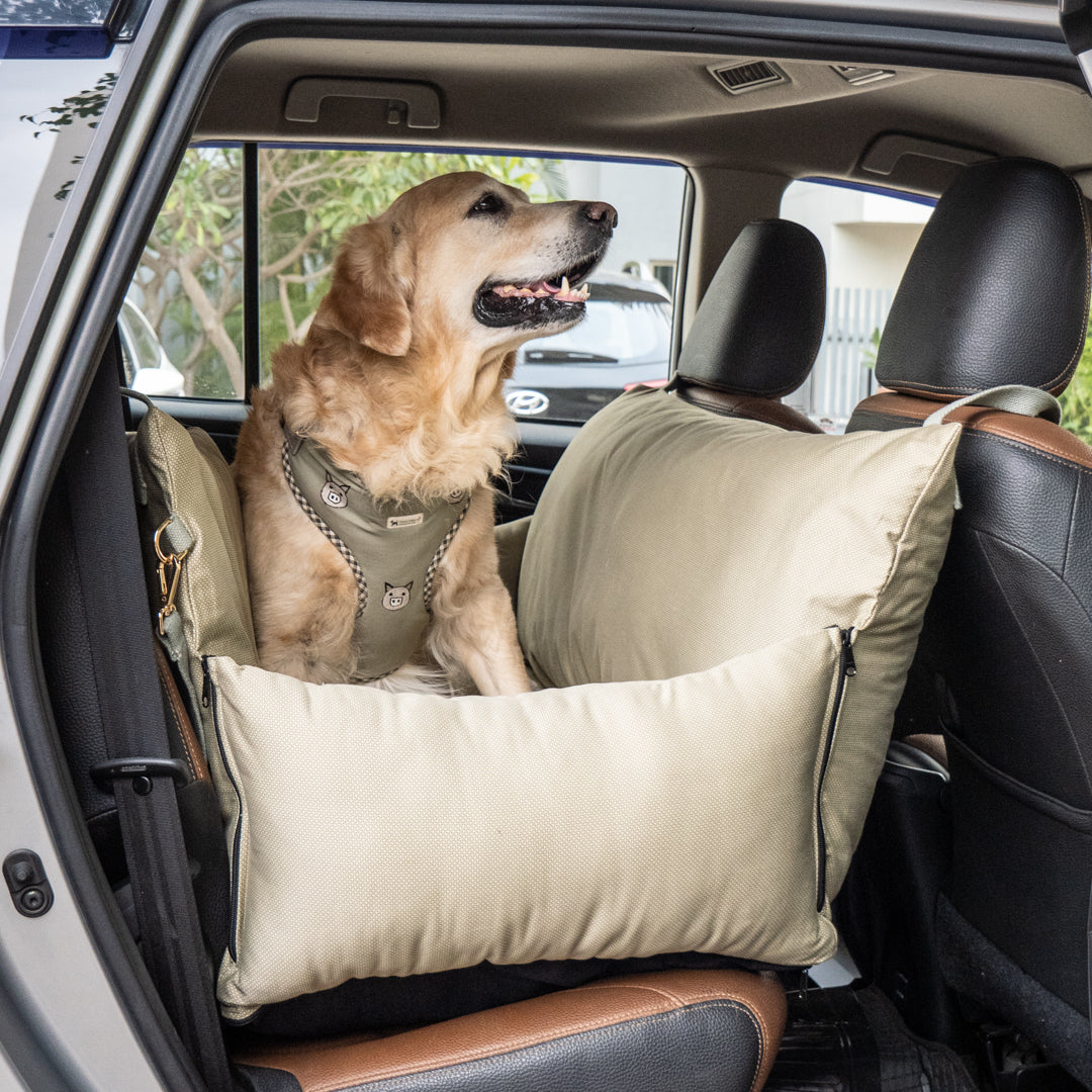 PoochMate Travel Bed for Large Dogs