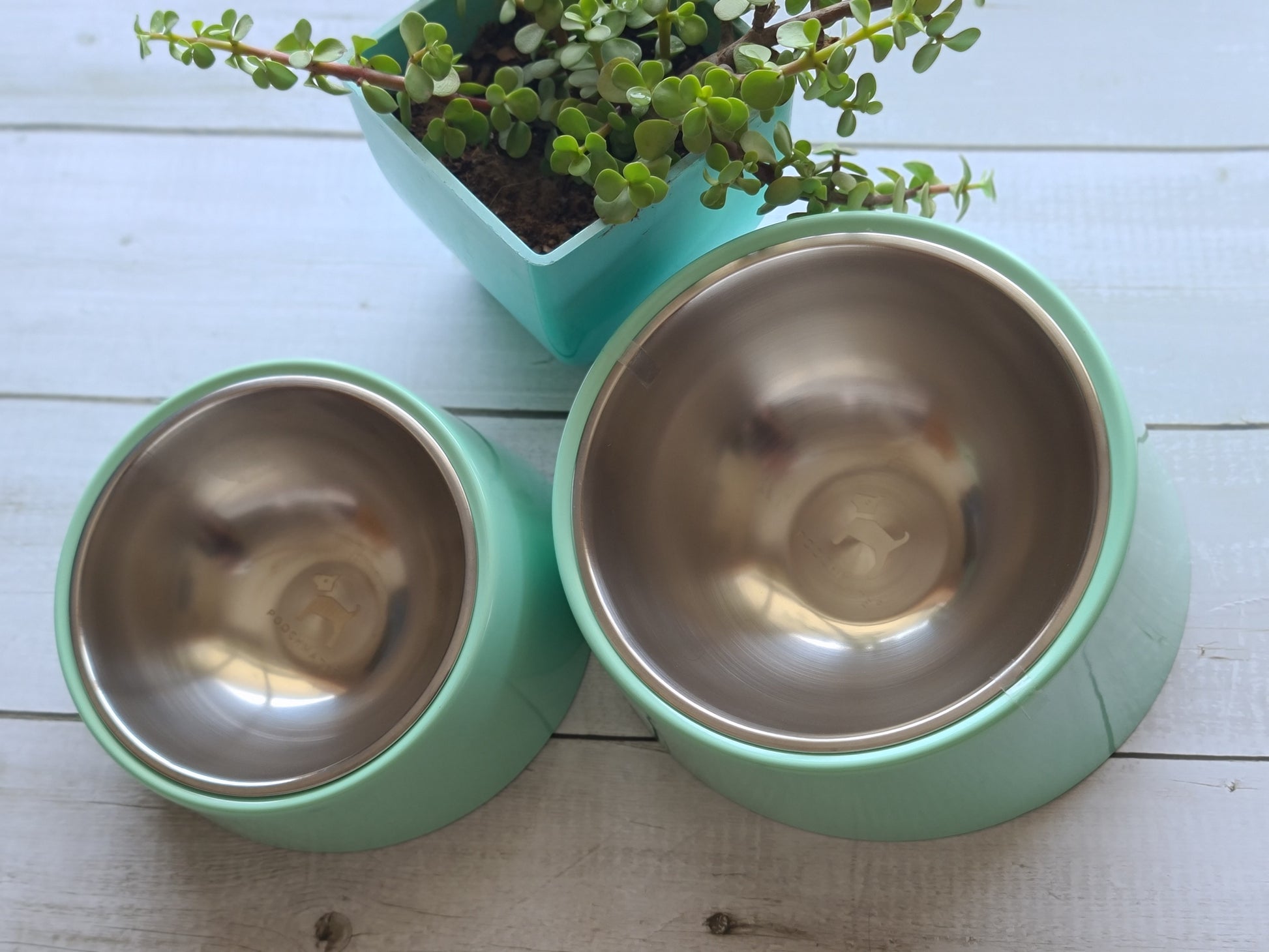 Slant shape dog bowls for flat face dogs| Dog Bowls India