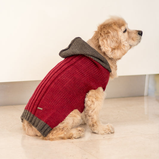 PoochMate Milano Hooded Dog Sweater - Maroon