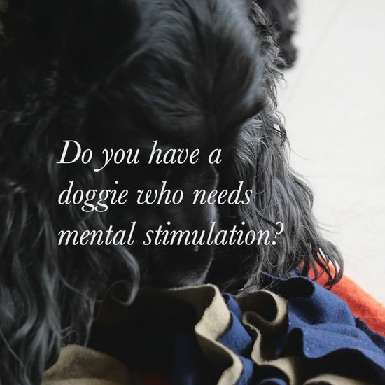 Snuffle Mats for Dogs India | Dog Snuffle Mat