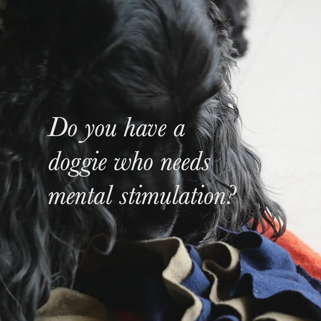 Snuffle Mats for Dogs India | Dog Snuffle Mat