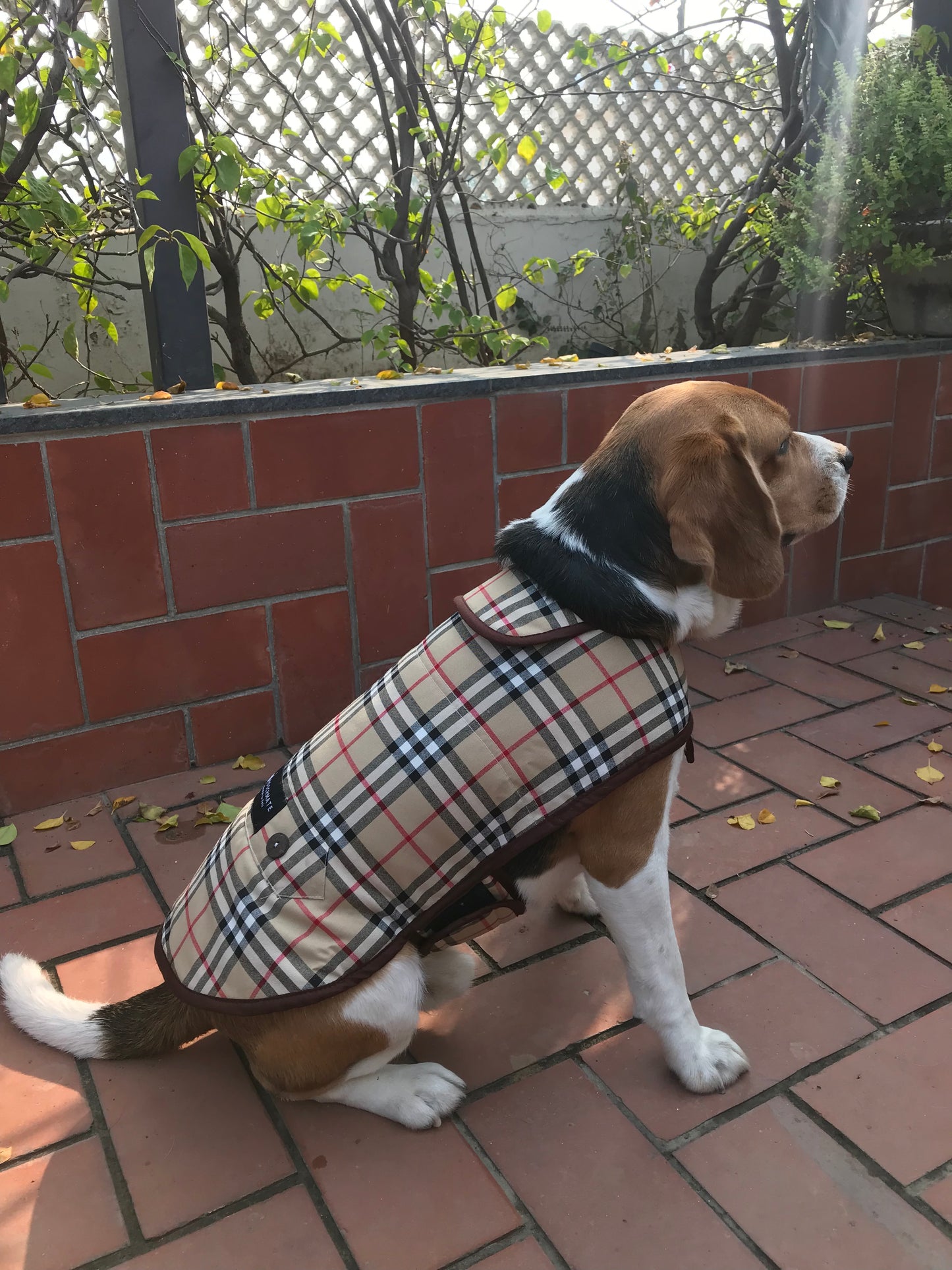 PoochMate Duffle Checks Winter Dog Coat