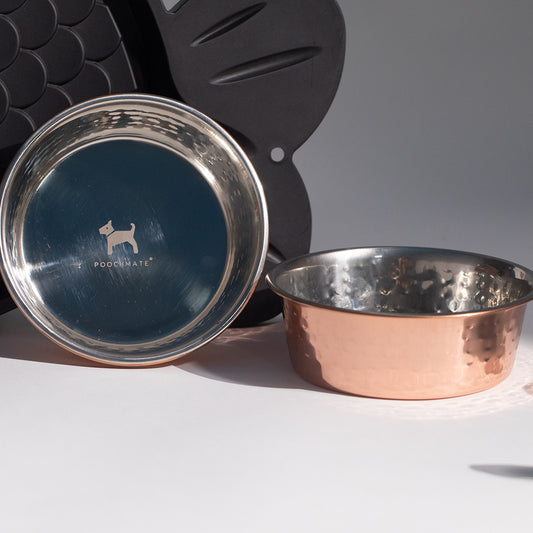 Hammered Copper Dog Bowls online India| Steel Dog Bowls Online India