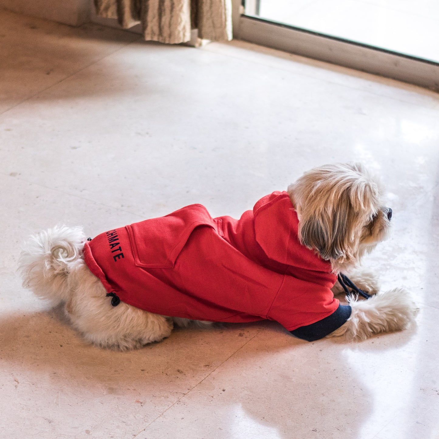 PoochMate Red Dog Sweatshirt