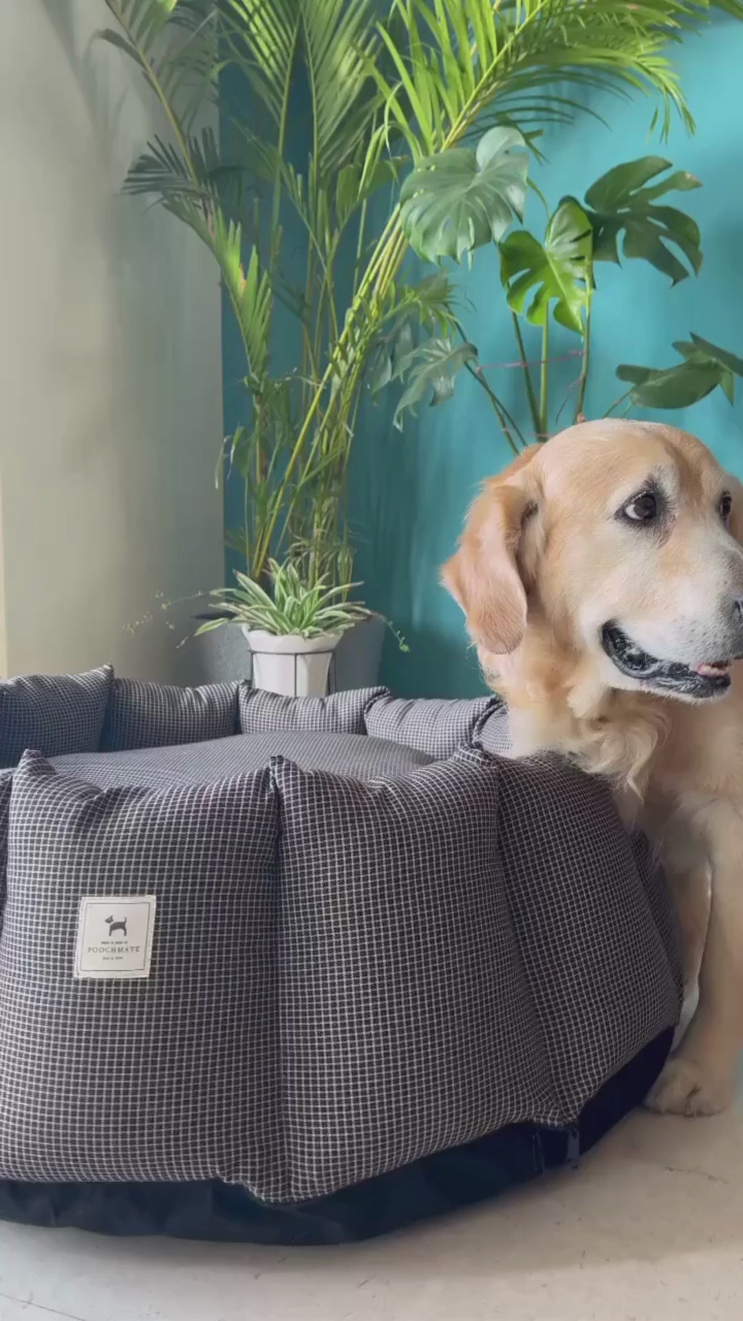 Jacquard and Cotton Dog Bed with removable cover Dog Beds Online