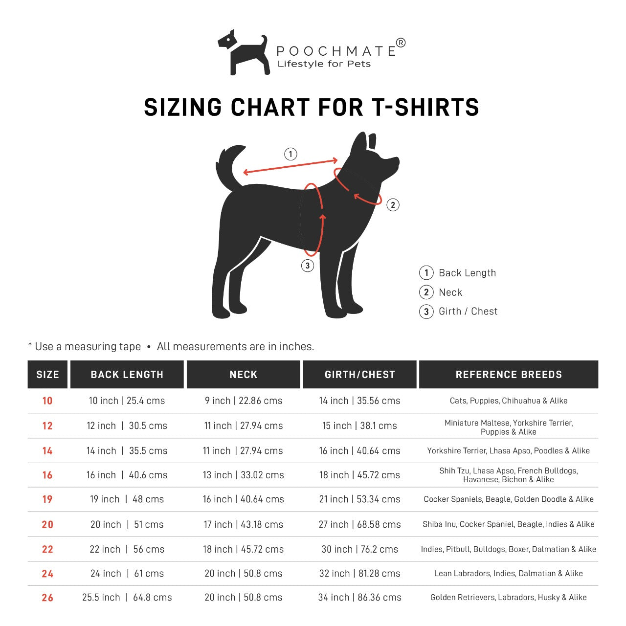 Dog clothes online India | Cotton dog t shirts 