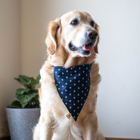 Blue Anchor Dog Bandana | Cotton Dog Bandana Online India