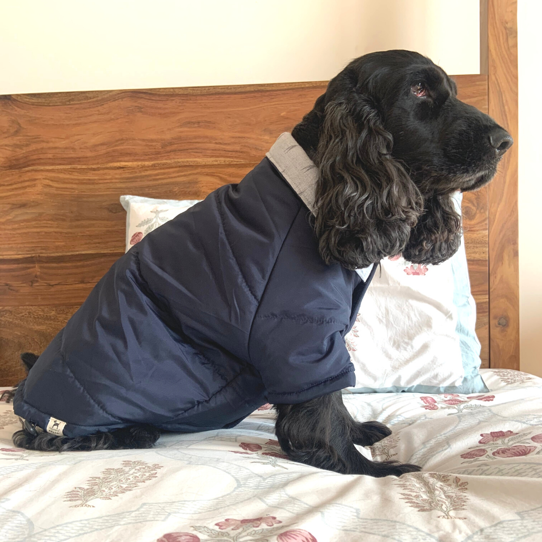 PoochMate Bexley Quilted Dog Coat- Blue