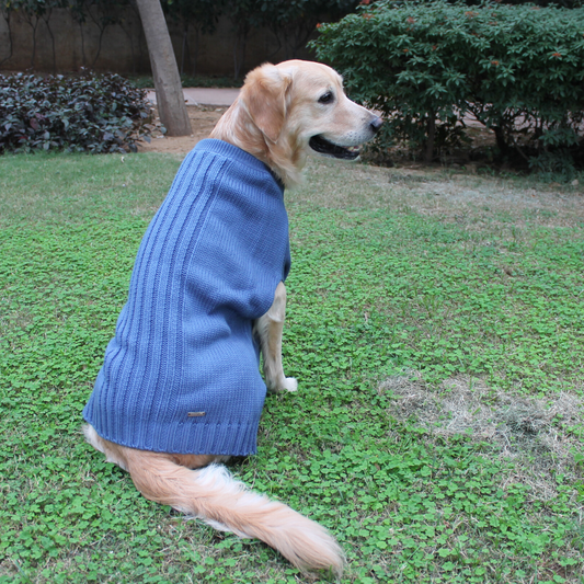 PoochMate Snug Bug Sweater - Blue