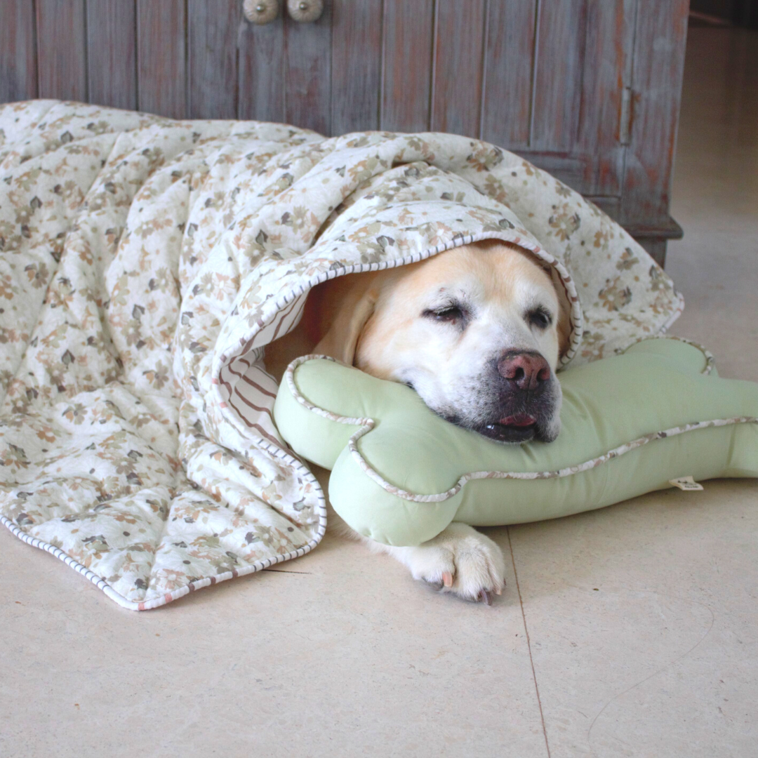 Dog Cotton Blanket & pillow Set | Cotton soft dog blankets