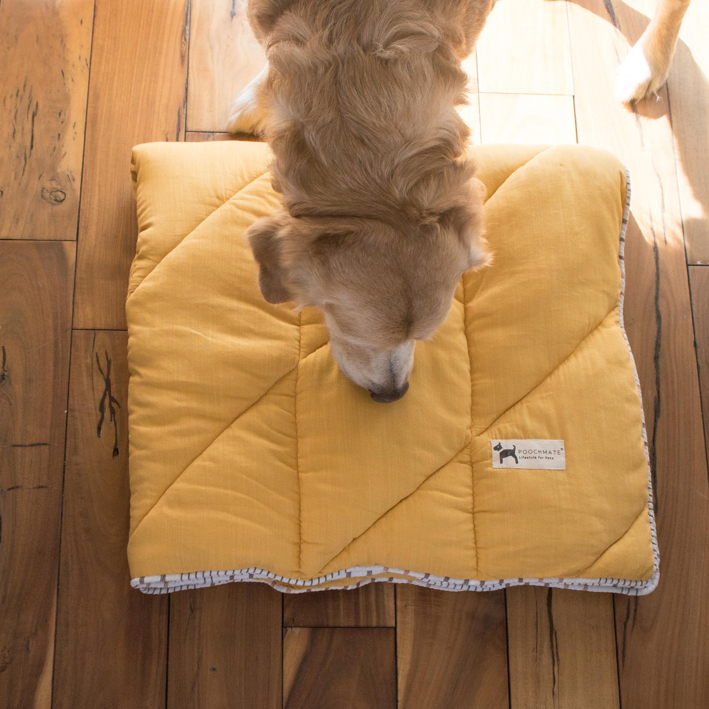 Golden Retriever Beds India | Luxury Dog bedding sets India