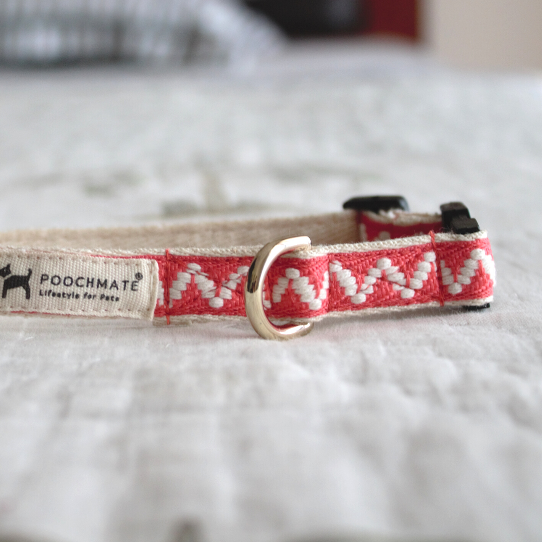 Best Cat Collars India | Shop Cat Supplies online