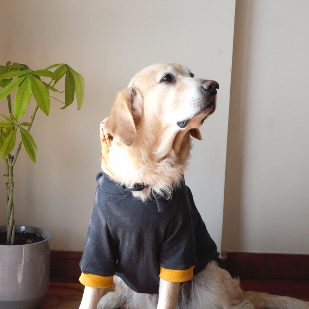 Dog winter clothes | Dog Sweatshirt | Dog Sweater online India