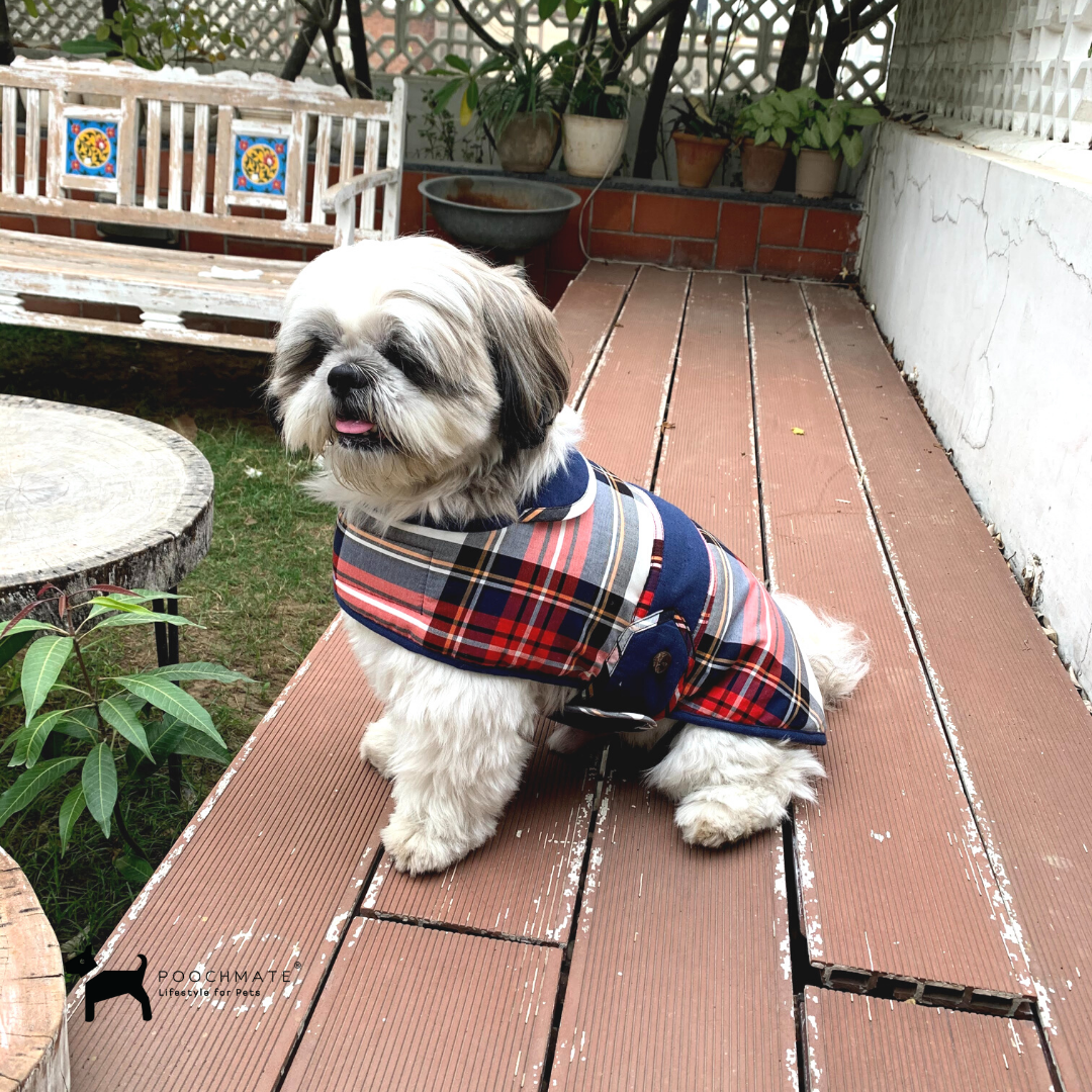 Winter Dog Coats | Dog Jackets online India