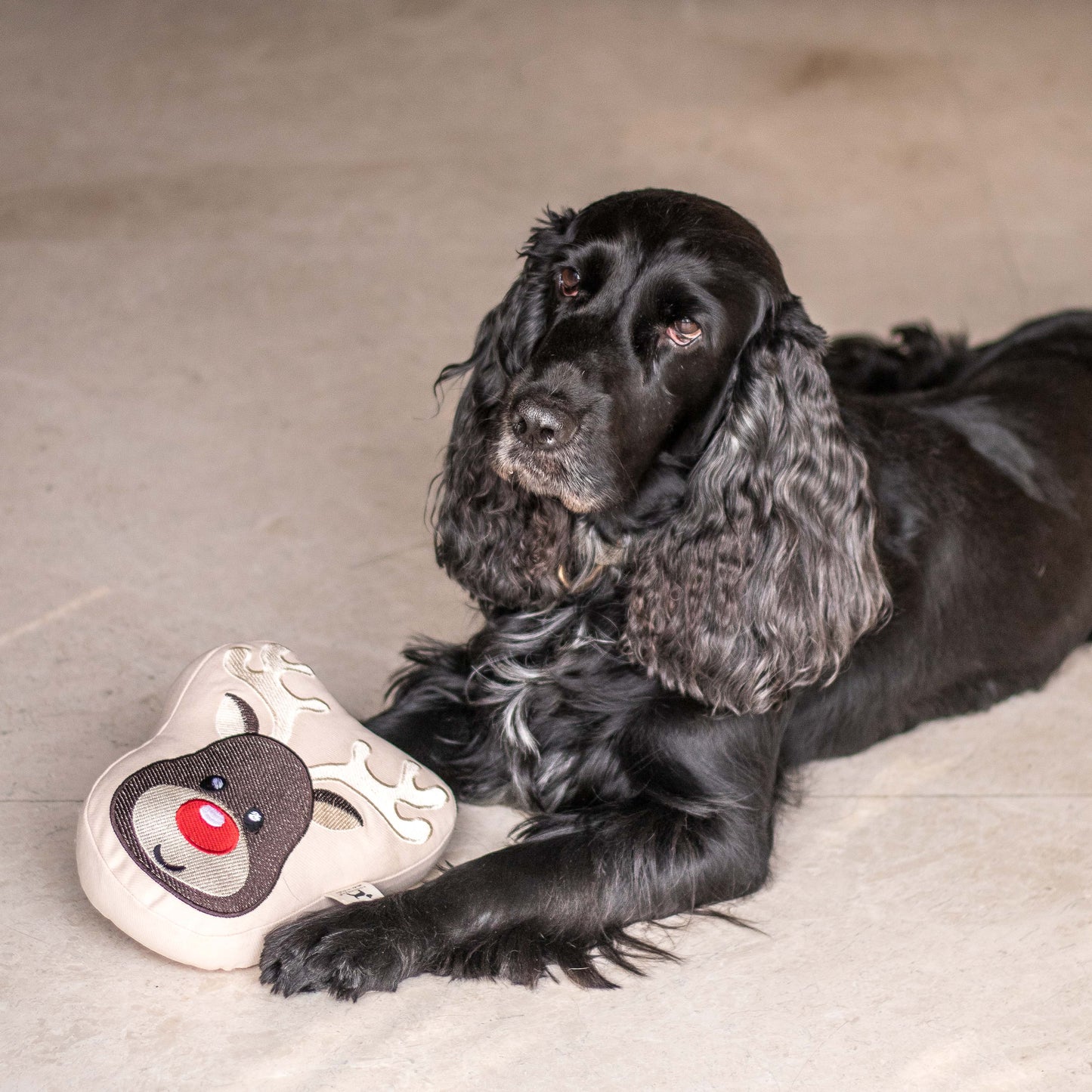 PoochMate Reindeer Dog Toy