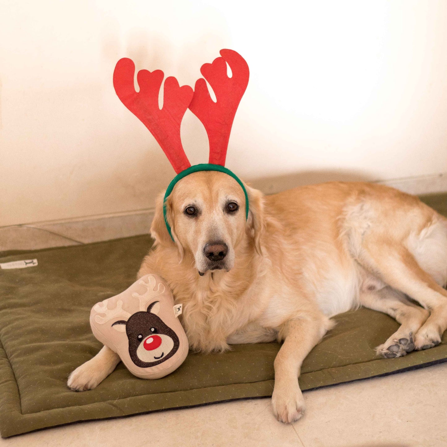 PoochMate Reindeer Dog Toy