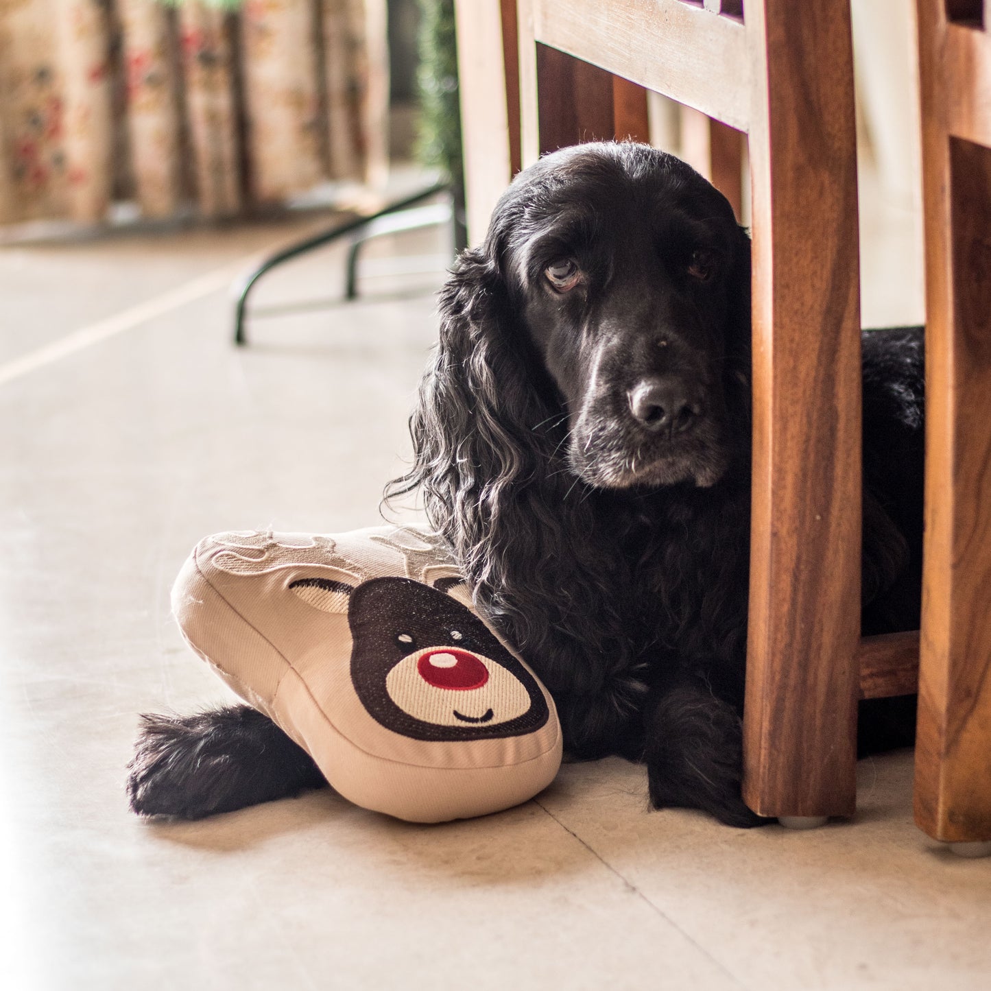 PoochMate Reindeer Dog Toy